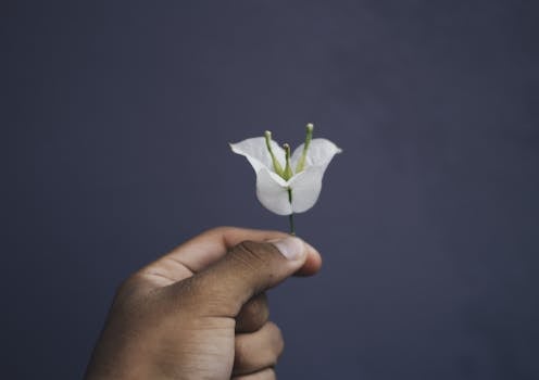 A serene nature scene to symbolize balance
